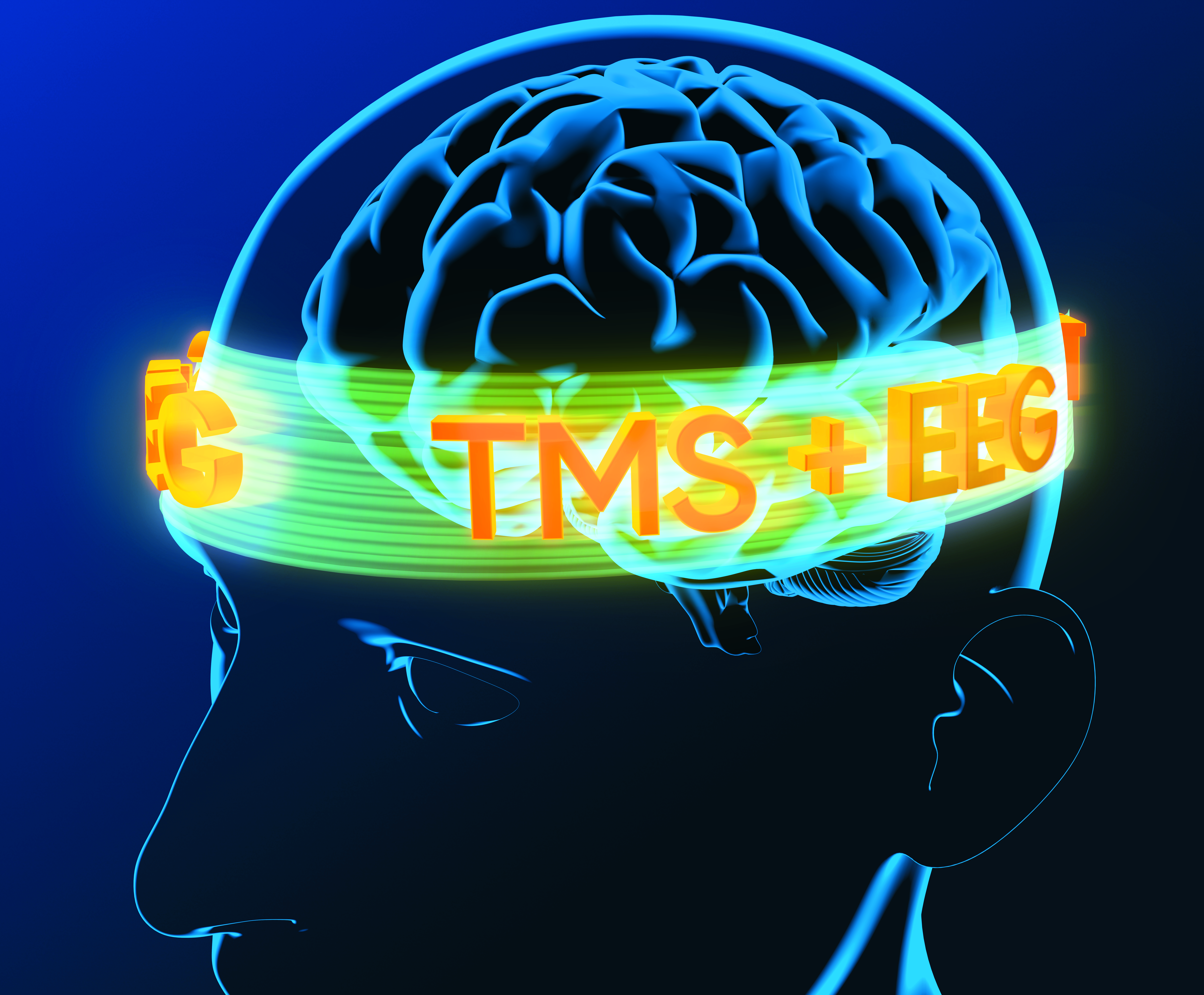 Illustration showing TMS and EEG working together